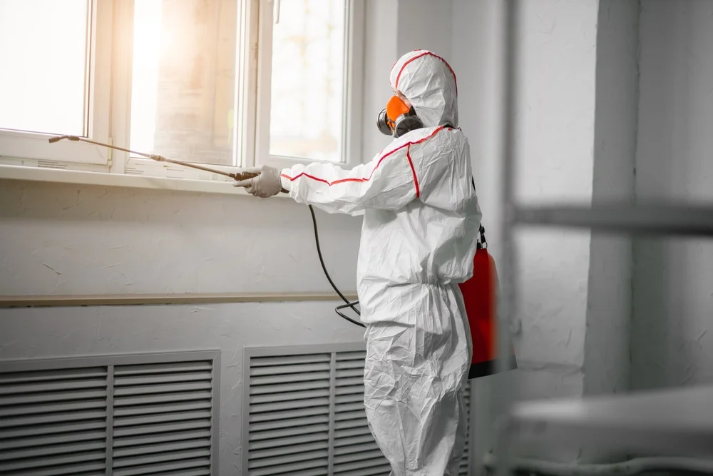 Professional mold remediation services in Belleview, FL